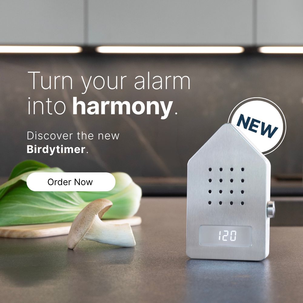 TAHI　3x2 nature sound Nature Sound 29 - QUIET FOREST / THE MOST RELAXING SOUNDS - - YouTube